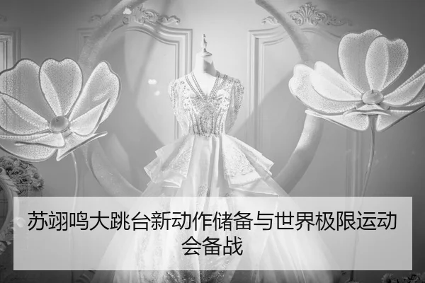 su-yi-ming-da-tiao-tai-xin-dong-zuo-chu-bei-yu-shi-jie-ji-xian-yun-dong-hui-bei-zhan-2-643.jpg